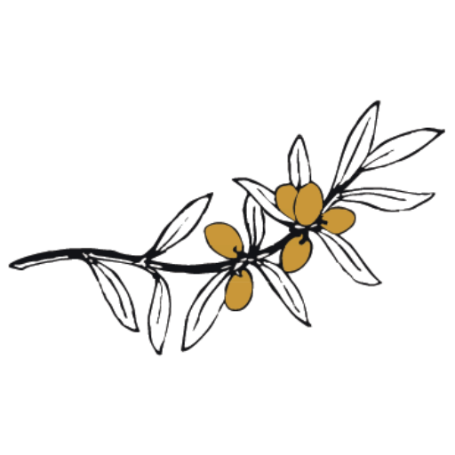 theoliveoilco.it favicon