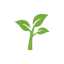 toddsseeds.com favicon