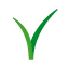 vivialnaturale.it favicon