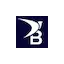 bluenestmarketing.com favicon