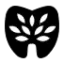 kosuyolupark.com favicon
