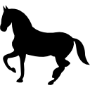 lanzaroteacaballo.com favicon
