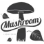 legalpsychedelics.org favicon