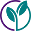 pixiemuse.com.au favicon