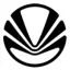 virzoom.com favicon