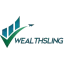 wealthsling.com favicon