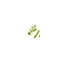buymagicmushroomkits.com favicon