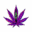 clementscbdstore.cz favicon