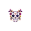 espiritucurioso.com.mx favicon