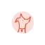 petsbyplane.com favicon