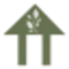 homegrownursery.com favicon