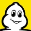 michelin.dk favicon