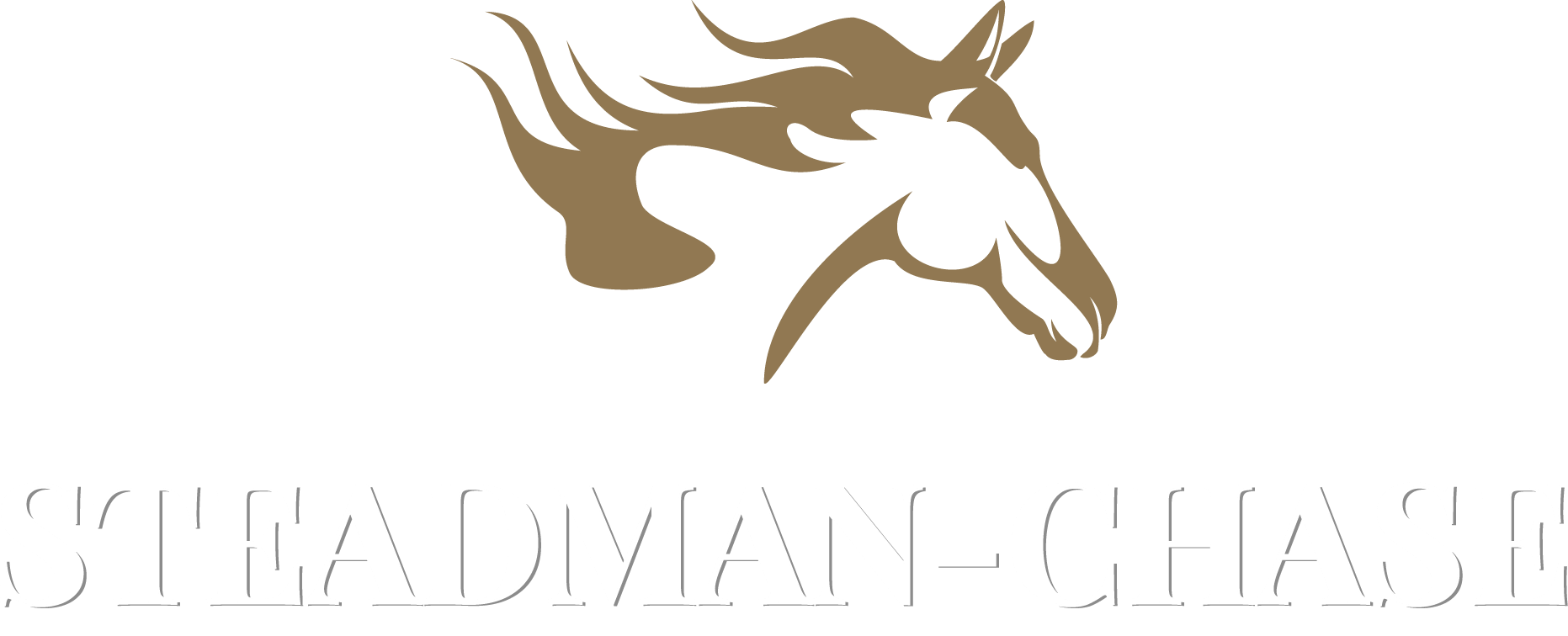 steadman-chase.co.uk favicon