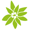 trachten-dirndl-shop.de favicon