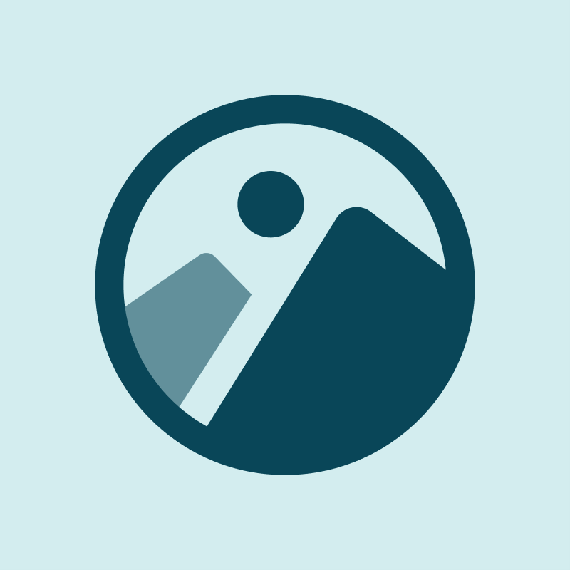 grunfin.com favicon