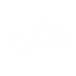 msicredit.com favicon