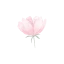 picnicwithmonet.com favicon