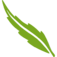 snp.nl favicon