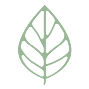 thespadr.com favicon