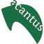 acantus.nl favicon