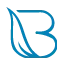 bnstay.com favicon
