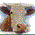 filzenhof.de favicon