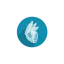 kardiolog.dk favicon