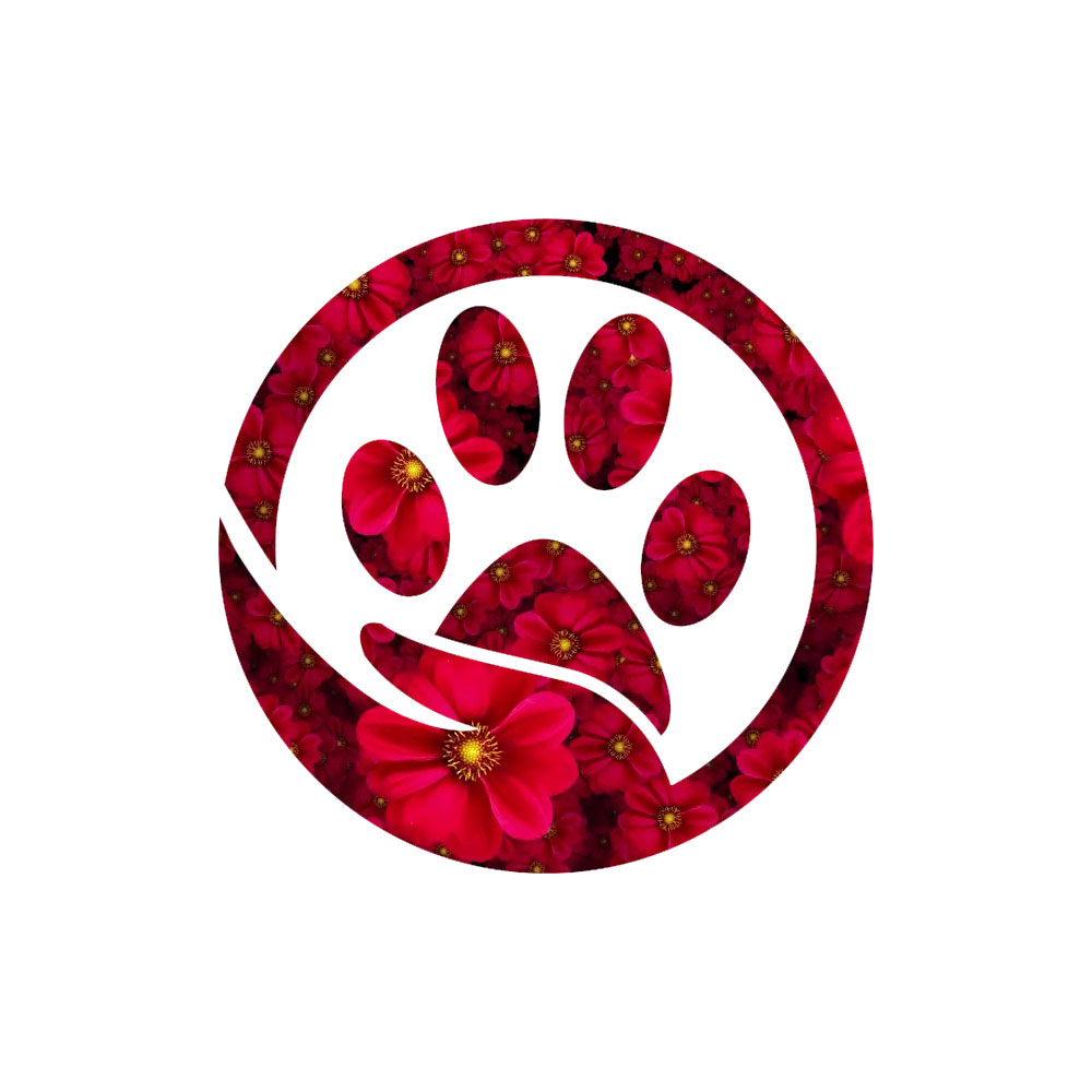 teeloveshare.com favicon
