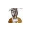 allsportstrophies.com favicon