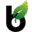binoidcbd.com favicon