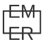 emersoft.co favicon
