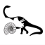 geocollection.net favicon
