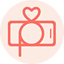 photoquest.wedding favicon