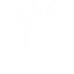 southernsmartenergy.com favicon