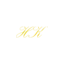 vejlelimousineservice.dk favicon