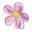 zehenspiel.de favicon