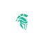 chlorinecheats.com favicon