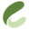 croco.vision favicon