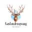 dehertjes.nl favicon