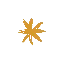 delphinesaliou.fr favicon