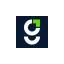 goodwitcommerce.com favicon