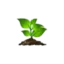 mahishop.com favicon