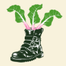 shegrowsveg.com favicon