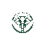 theasiantrip.com favicon