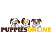 yorkiepuppy4homes.com favicon