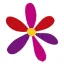 kibbutzvolunteers.org.il favicon