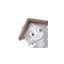 mister-chauffe-eau.com favicon