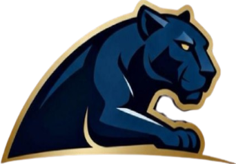 panthercapitals.com favicon