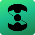 shivavpn.io favicon