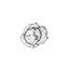vegbynature.com.au favicon